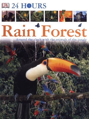 cover image of Rain Forest